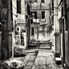 Street Of Venice